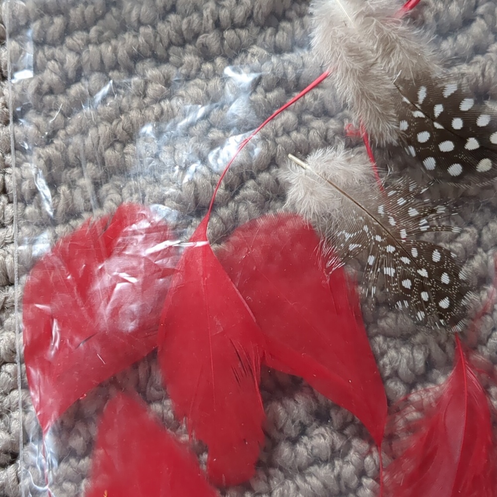 Authentic Feather Collection - Picture 7 of 9